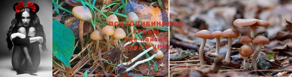 эйфоретик Лихославль