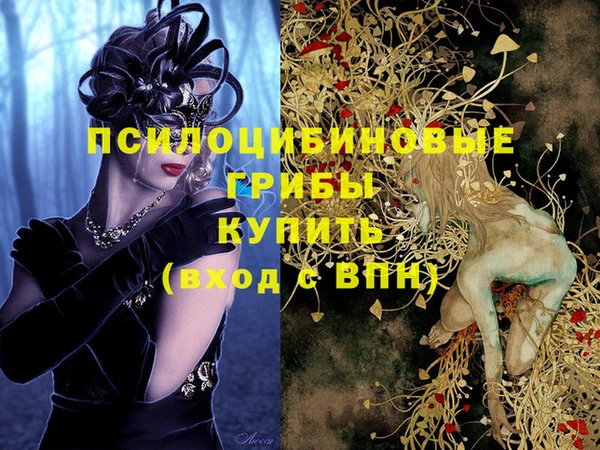 стафф Магадан