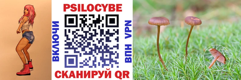 Галлюциногенные грибы Magic Shrooms Купить Щёкино