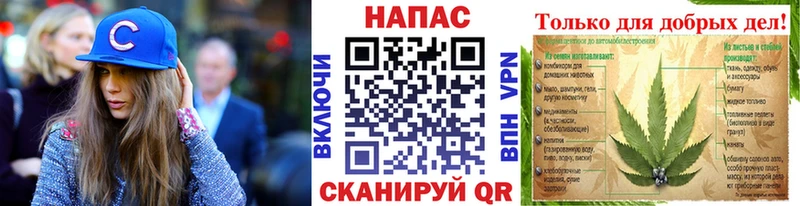 Купить где  Щёкино  Каннабис конопля 